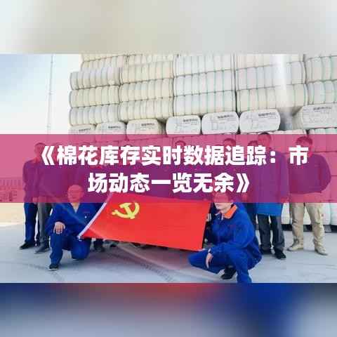 《棉花库存实时数据追踪:市场动态一览无余》