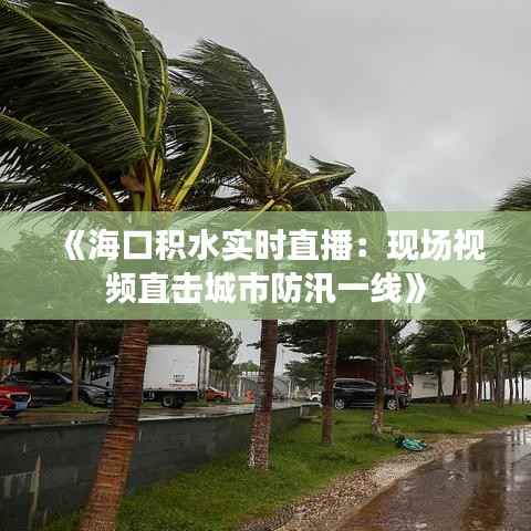 《海口积水实时直播:现场视频直击城市防汛一线》