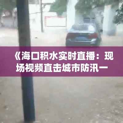 《海口积水实时直播:现场视频直击城市防汛一线》