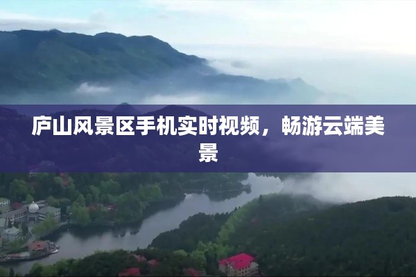 庐山风景区手机实时视频,畅游云端美景
