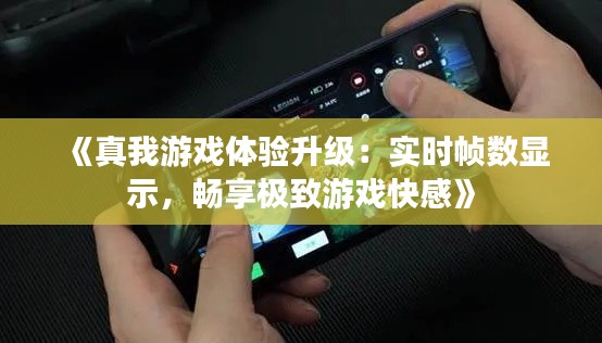 《真我游戏体验升级:实时帧数显示,畅享极致游戏快感》