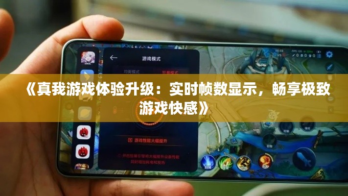 《真我游戏体验升级:实时帧数显示,畅享极致游戏快感》