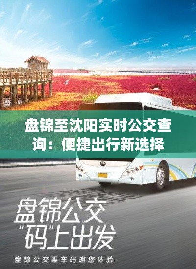 盘锦至沈阳实时公交查询:便捷出行新选择