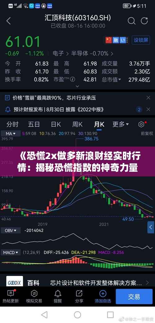 《恐慌2x做多新浪财经实时行情:揭秘恐慌指数的神奇力量》