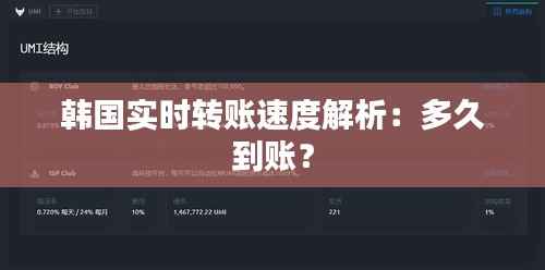 韩国实时转账速度解析:多久到账?