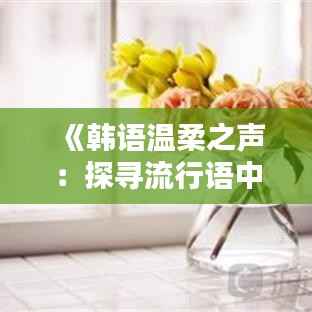 《韩语温柔之声:探寻流行语中的情感共鸣》