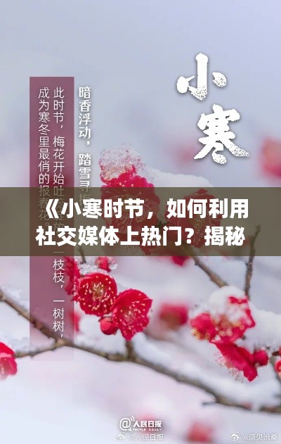 《小寒时节,如何利用社交媒体上热门?揭秘热门攻略》
