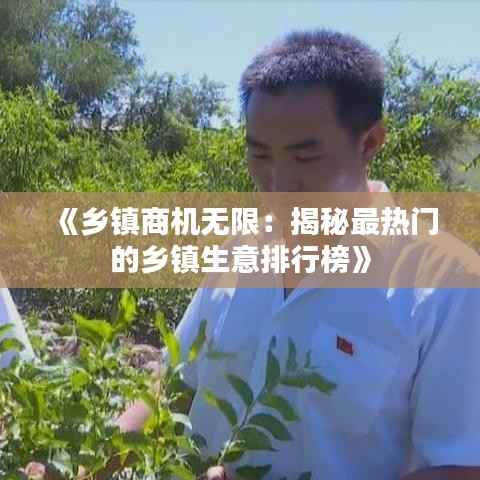 《乡镇商机无限:揭秘最热门的乡镇生意排行榜》