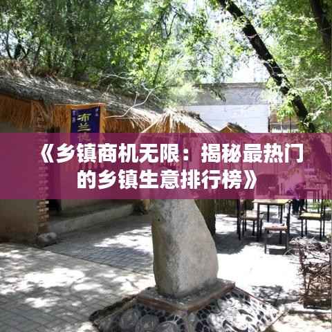 《乡镇商机无限：揭秘最热门的乡镇生意排行榜》