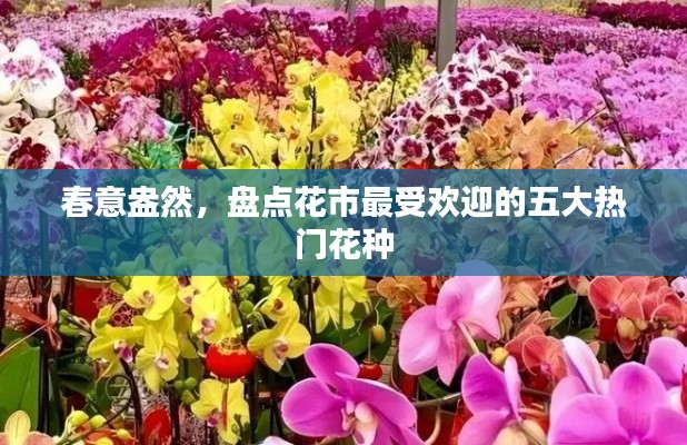 春意盎然,盘点花市最受欢迎的五大热门花种