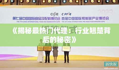 《揭秘最热门代理:行业翘楚背后的秘密》