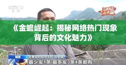《金蟾崛起:揭秘网络热门现象背后的文化魅力》
