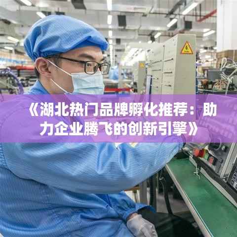 《湖北热门品牌孵化推荐:助力企业腾飞的创新引擎》