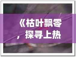 《枯叶飘零,探寻上热门的奥秘与技巧》