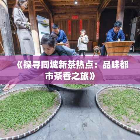 《探寻同城新茶热点：品味都市茶香之旅》