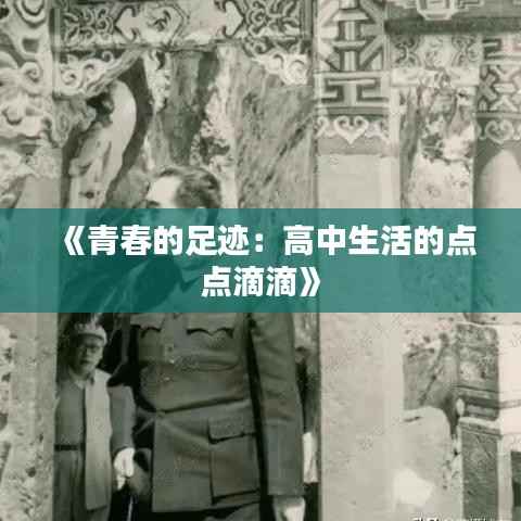 《青春的足迹:高中生活的点点滴滴》