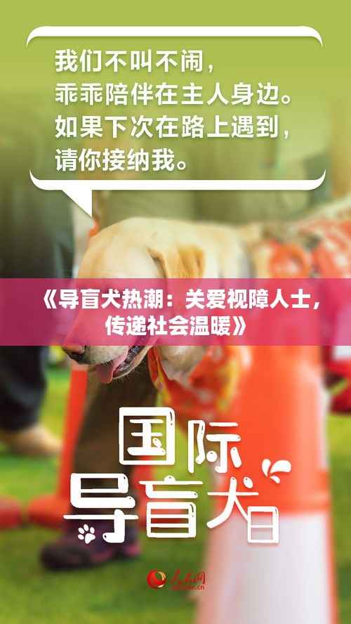 《导盲犬热潮:关爱视障人士,传递社会温暖》