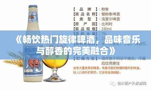 《畅饮热门旋律啤酒,品味音乐与醇香的完美融合》
