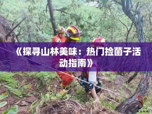 《探寻山林美味:热门捡菌子活动指南》