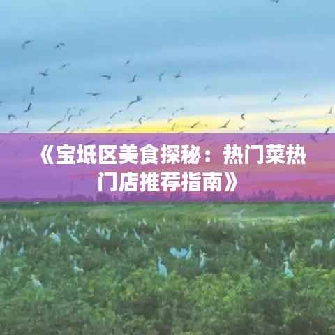 《宝坻区美食探秘:热门菜热门店推荐指南》