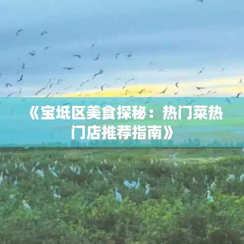 《宝坻区美食探秘:热门菜热门店推荐指南》