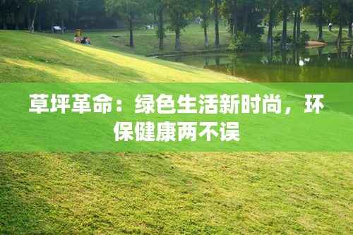 草坪革命：绿色生活新时尚，环保健康两不误