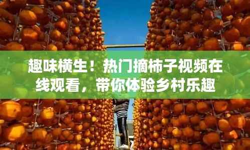 趣味横生!热门摘柿子视频在线观看,带你体验乡村乐趣