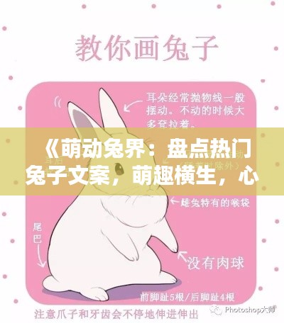 《萌动兔界:盘点热门兔子文案,萌趣横生,心动不已!》