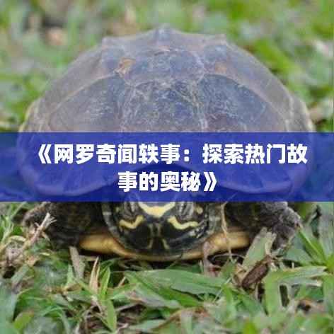 《网罗奇闻轶事:探索热门故事的奥秘》