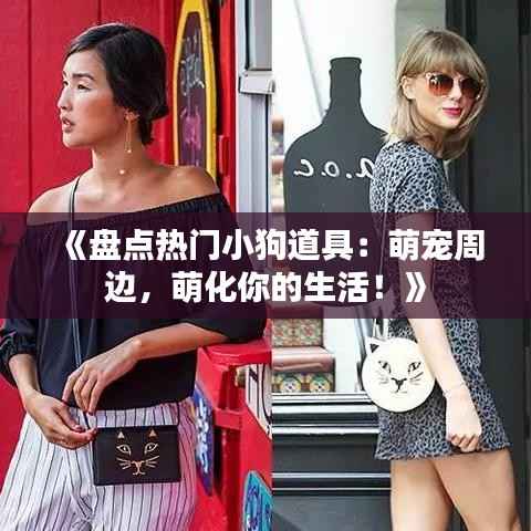 《盘点热门小狗道具:萌宠周边,萌化你的生活!》