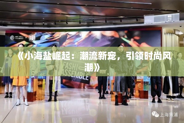 《小海盐崛起:潮流新宠,引领时尚风潮》