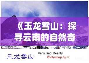 达官贵人 第6页