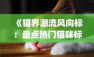 《猫界潮流风向标:盘点热门猫咪标签Top10》