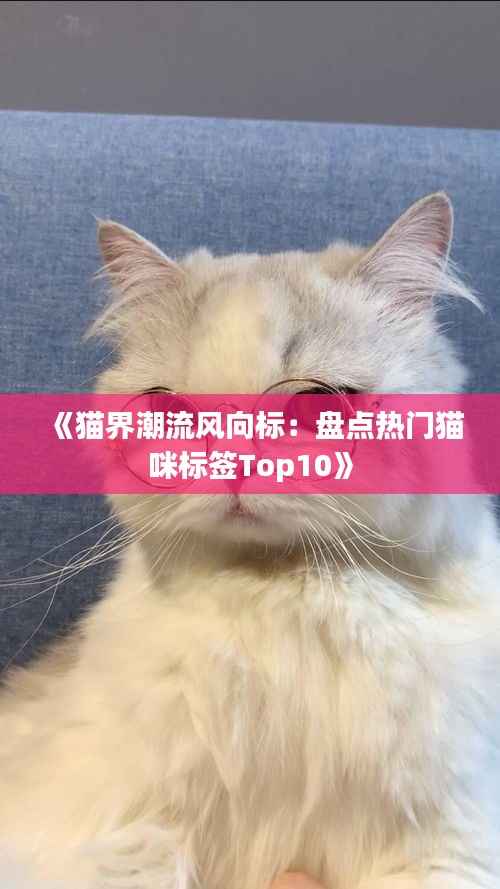 《猫界潮流风向标:盘点热门猫咪标签Top10》