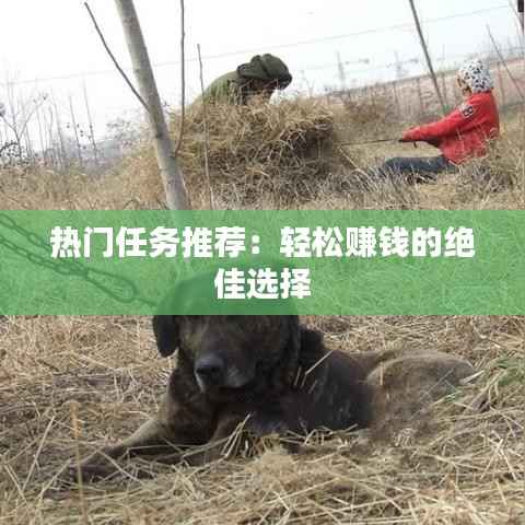 热门任务推荐：轻松赚钱的绝佳选择