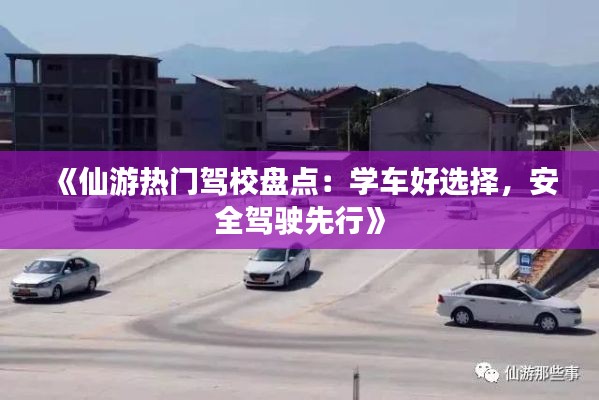《仙游热门驾校盘点:学车好选择,安全驾驶先行》