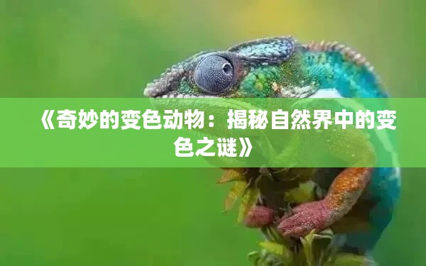 《奇妙的变色动物：揭秘自然界中的变色之谜》