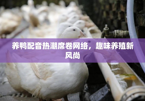 养鸭配音热潮席卷网络,趣味养殖新风尚