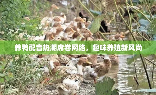 养鸭配音热潮席卷网络,趣味养殖新风尚