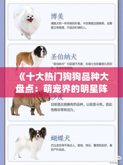 《十大热门狗狗品种大盘点：萌宠界的明星阵容》