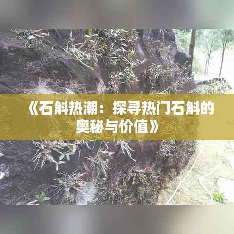 《石斛热潮:探寻热门石斛的奥秘与价值》