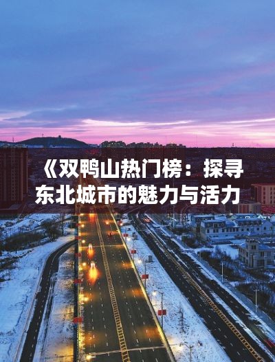 《双鸭山热门榜:探寻东北城市的魅力与活力》