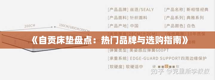 《自贡床垫盘点:热门品牌与选购指南》