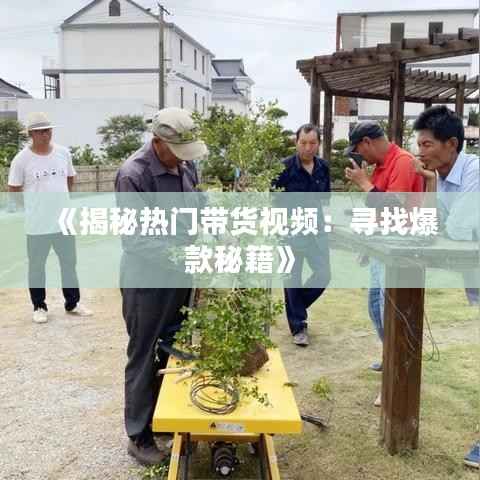 《揭秘热门带货视频:寻找爆款秘籍》