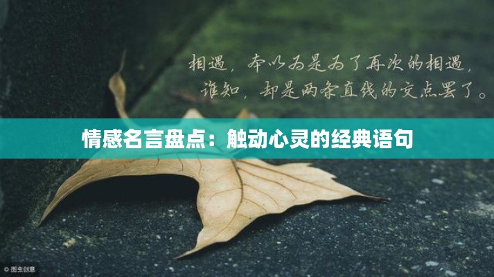 情感名言盘点:触动心灵的经典语句