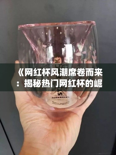 《网红杯风潮席卷而来:揭秘热门网红杯的崛起与魅力》