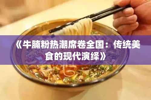 《牛腩粉热潮席卷全国:传统美食的现代演绎》