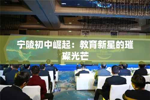宁陵初中崛起:教育新星的璀璨光芒