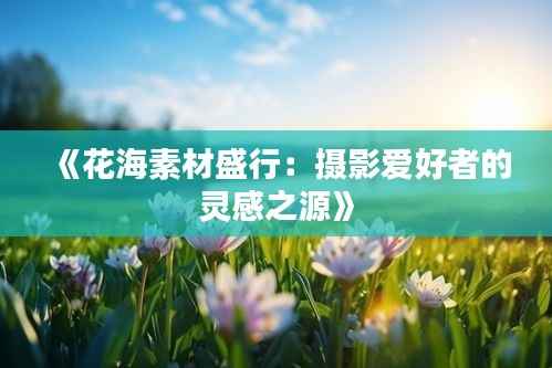 《花海素材盛行:摄影爱好者的灵感之源》