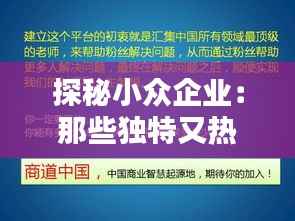 探秘小众企业:那些独特又热门的名称解析